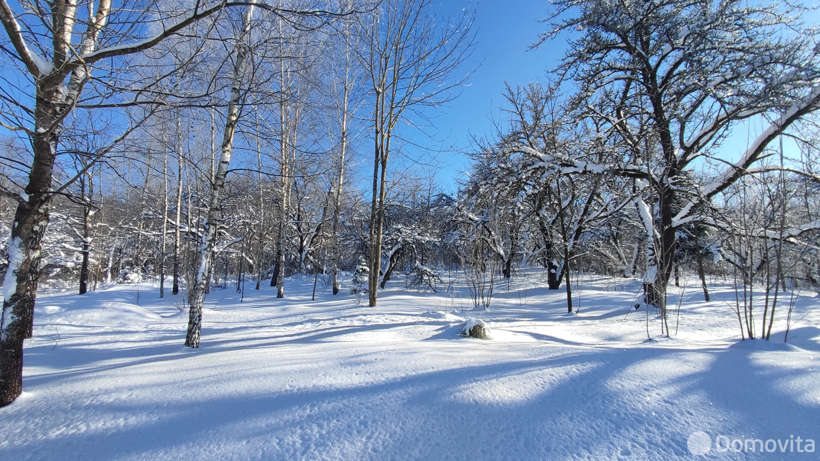 Купить земельный участок, 20 соток, Прудище, Минская область, 51000USD, код 571492 - фото 13