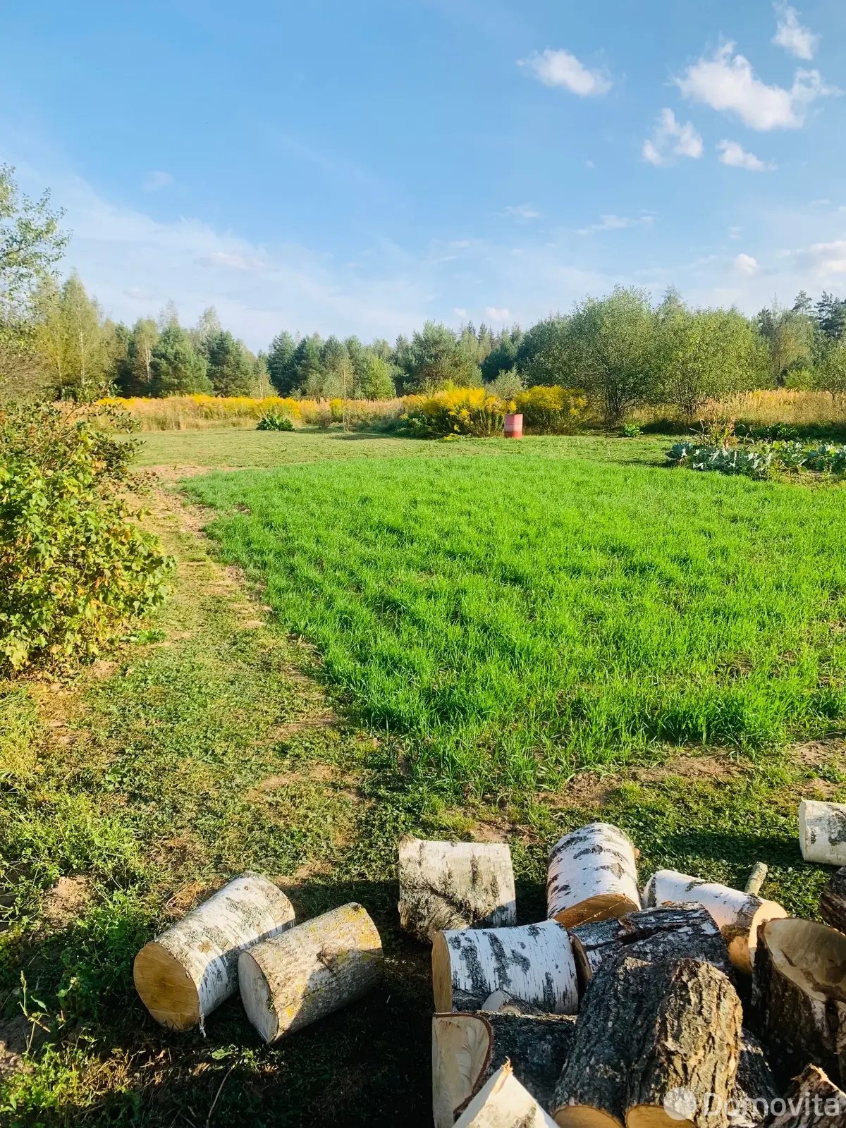 Купить 2-этажную дачу в Дашковский сельский Совет Могилевская область, 12000USD, код 184167 - фото 29