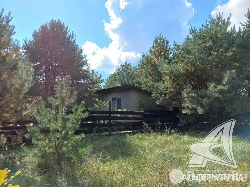 дом, Дубица, 