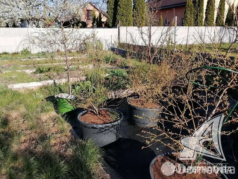 участок, Прибрежное-1, 