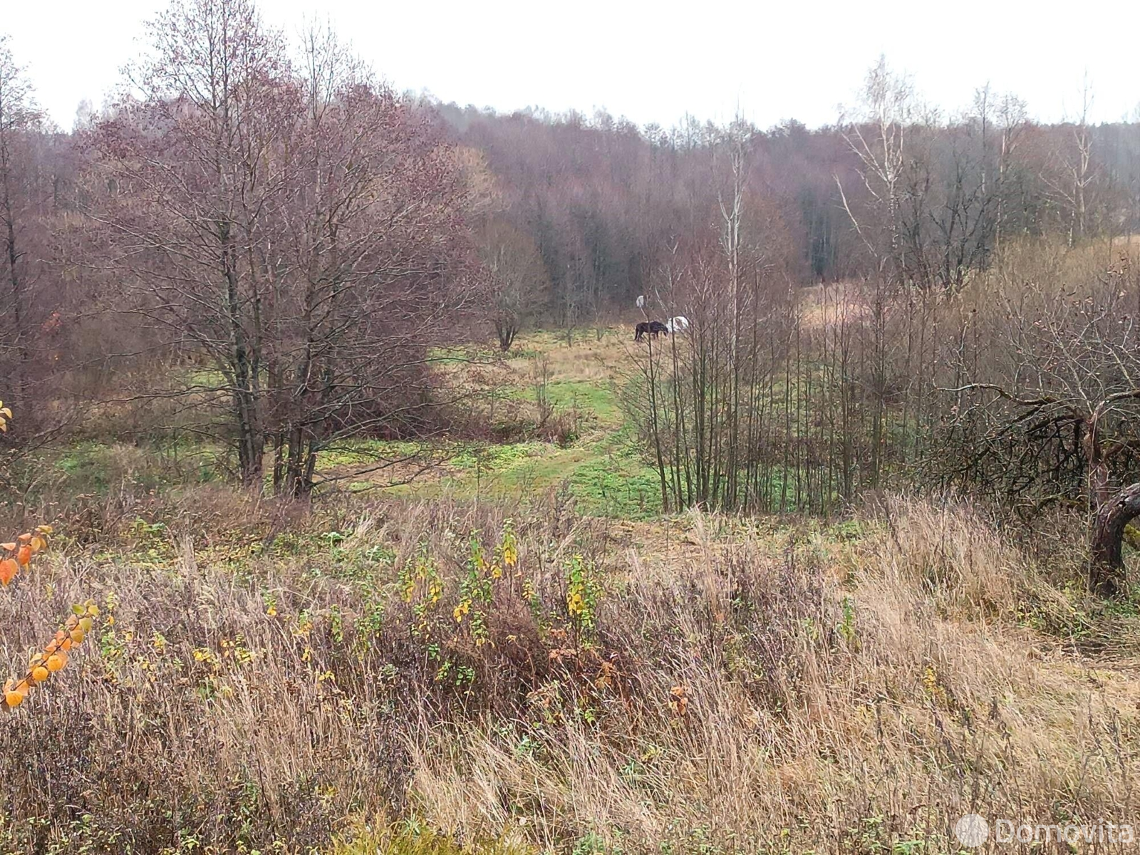 дом, Ратынцы, 