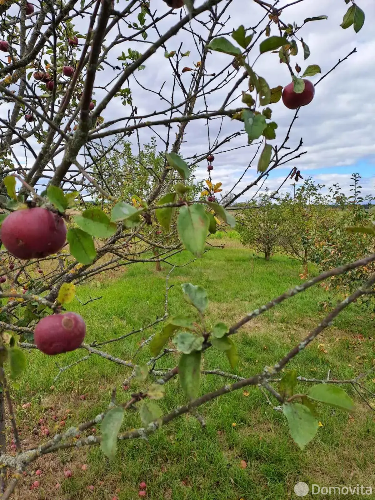 Цена продажи дома, Климовка, ул. Совхозная 1-я, д. 96