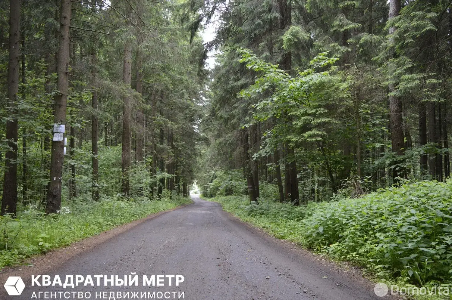 Продажа 1-этажной дачи в Энергостроитель-Подсады Минская область, 27550BYN, код 186283 - фото 23