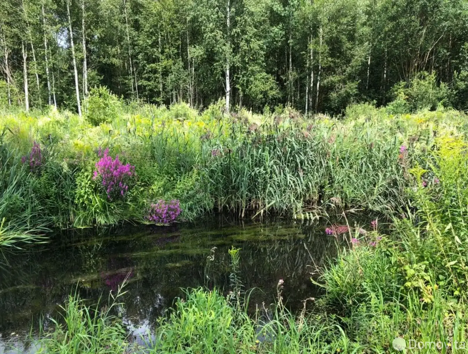 участок, Лесная поляна-88, д. 33, стоимость продажи 16 350 р.