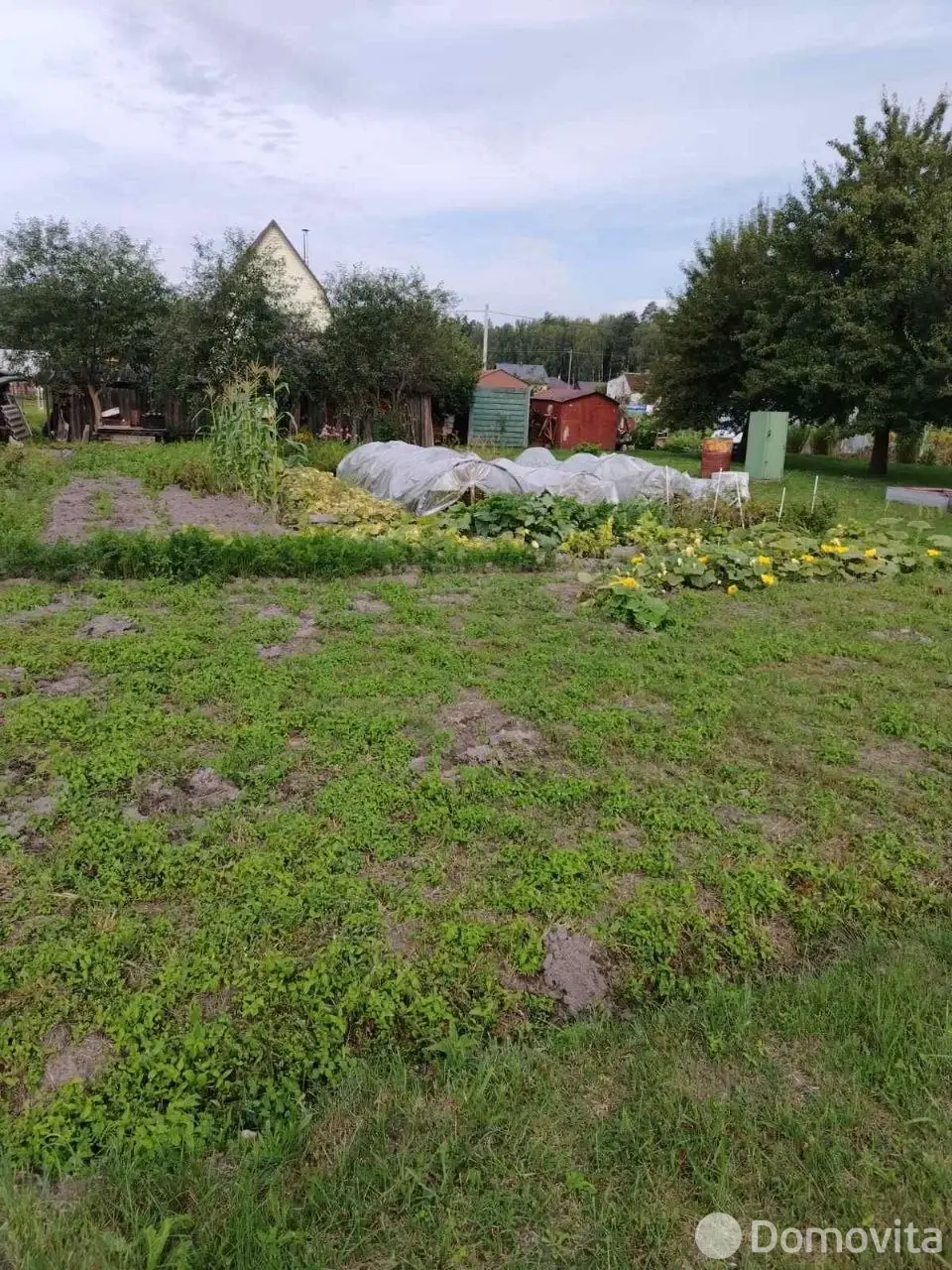 участок, Бытовик-92,