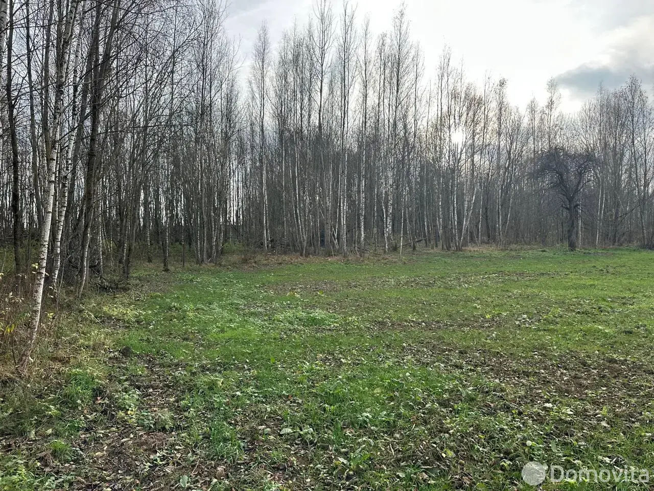 дом, Рудевщина, ул. Центральная, д. 13