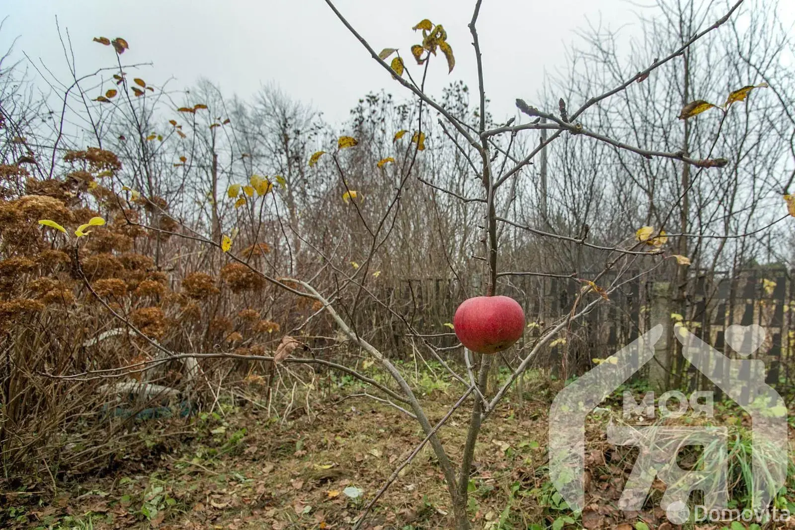 коттедж, Застенки, 