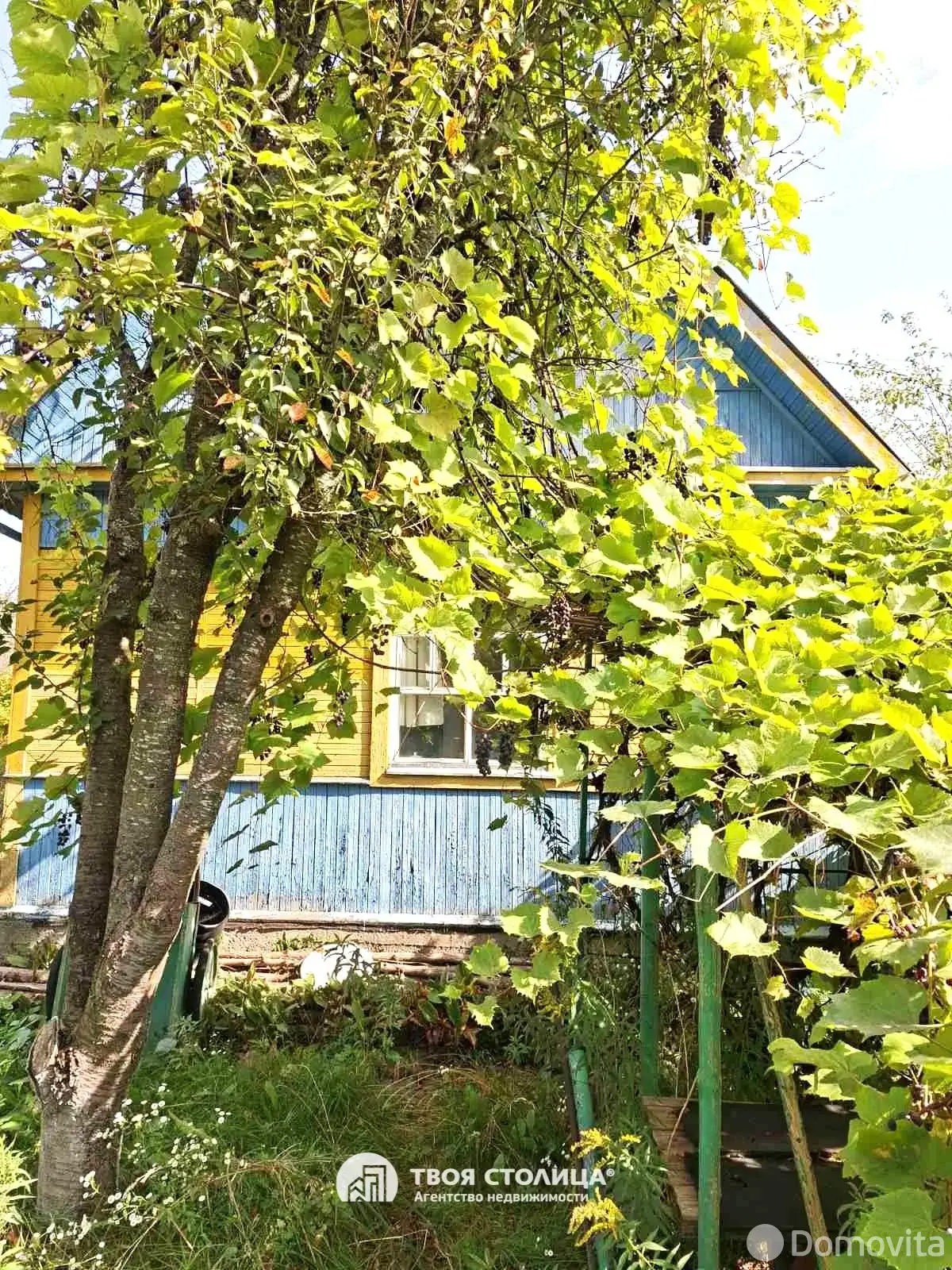 продажа дачи, Елочка, 