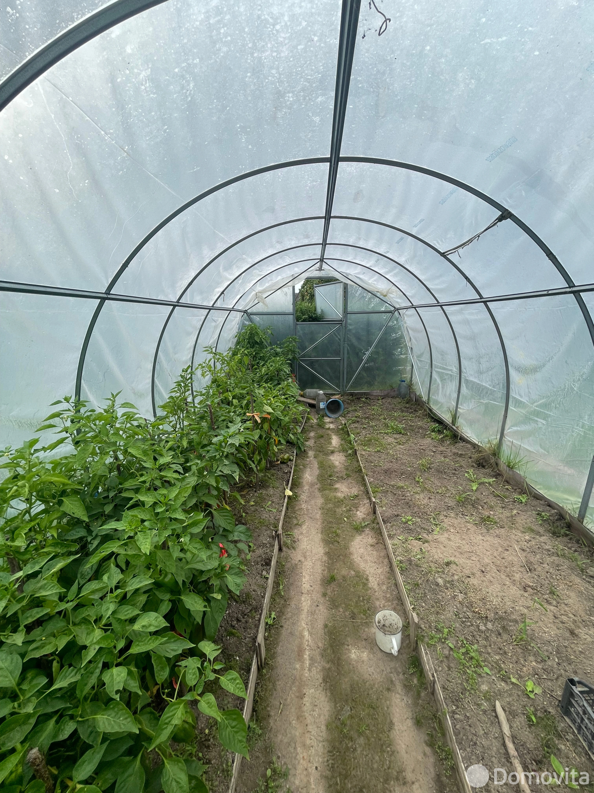 дача, Колосок, 