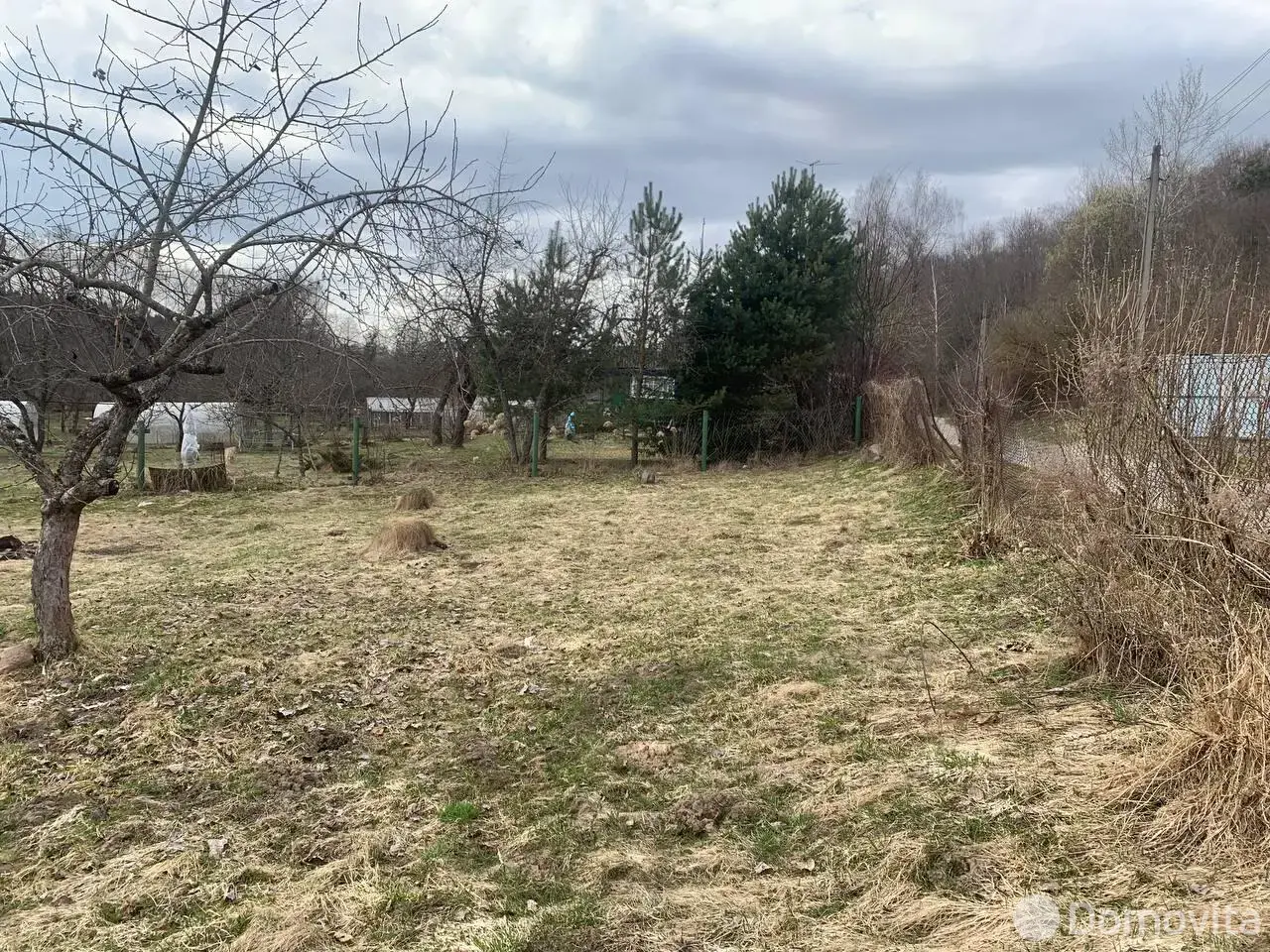 участок, Векшицы, , стоимость продажи 50 210 р.