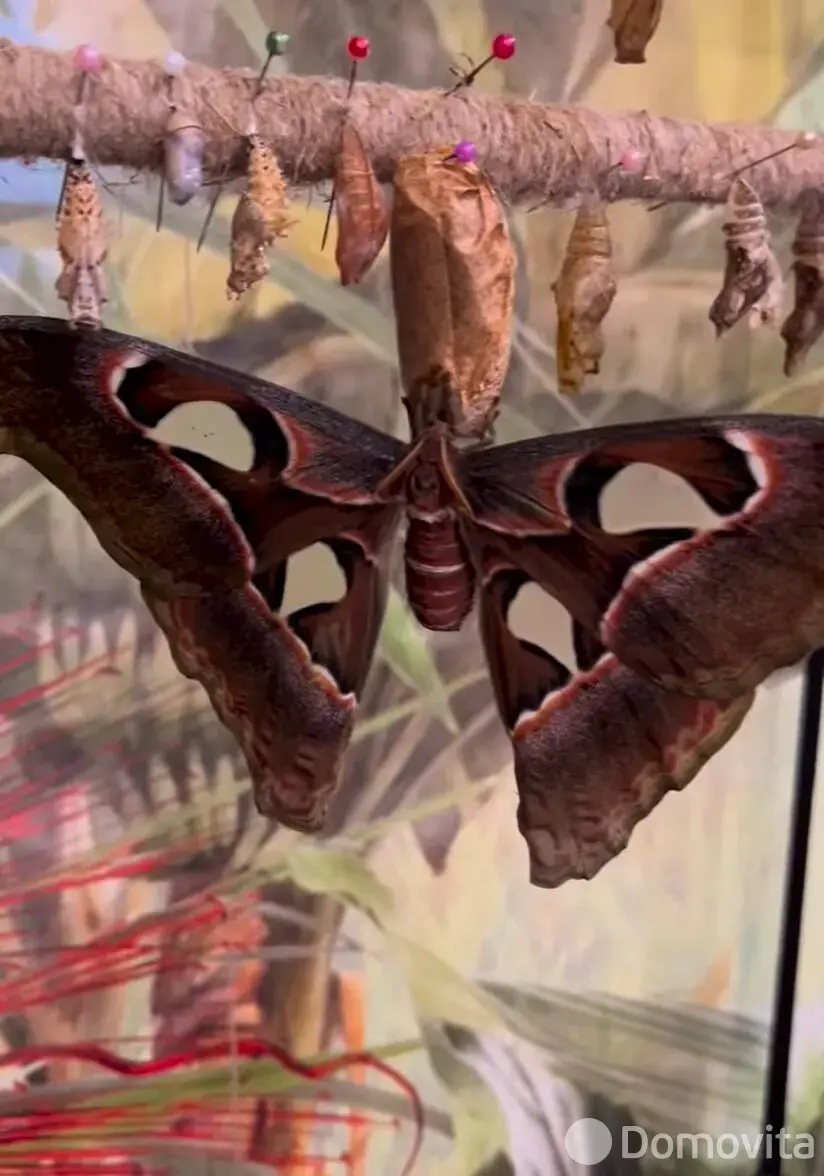 Купить помещение под сферу услуг в Минске, ул. Кирилла Туровского, д. 16 - фото 43