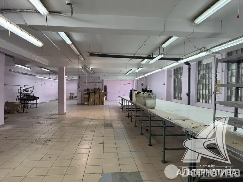 Купить помещение под сферу услуг в Бресте, - фото 3