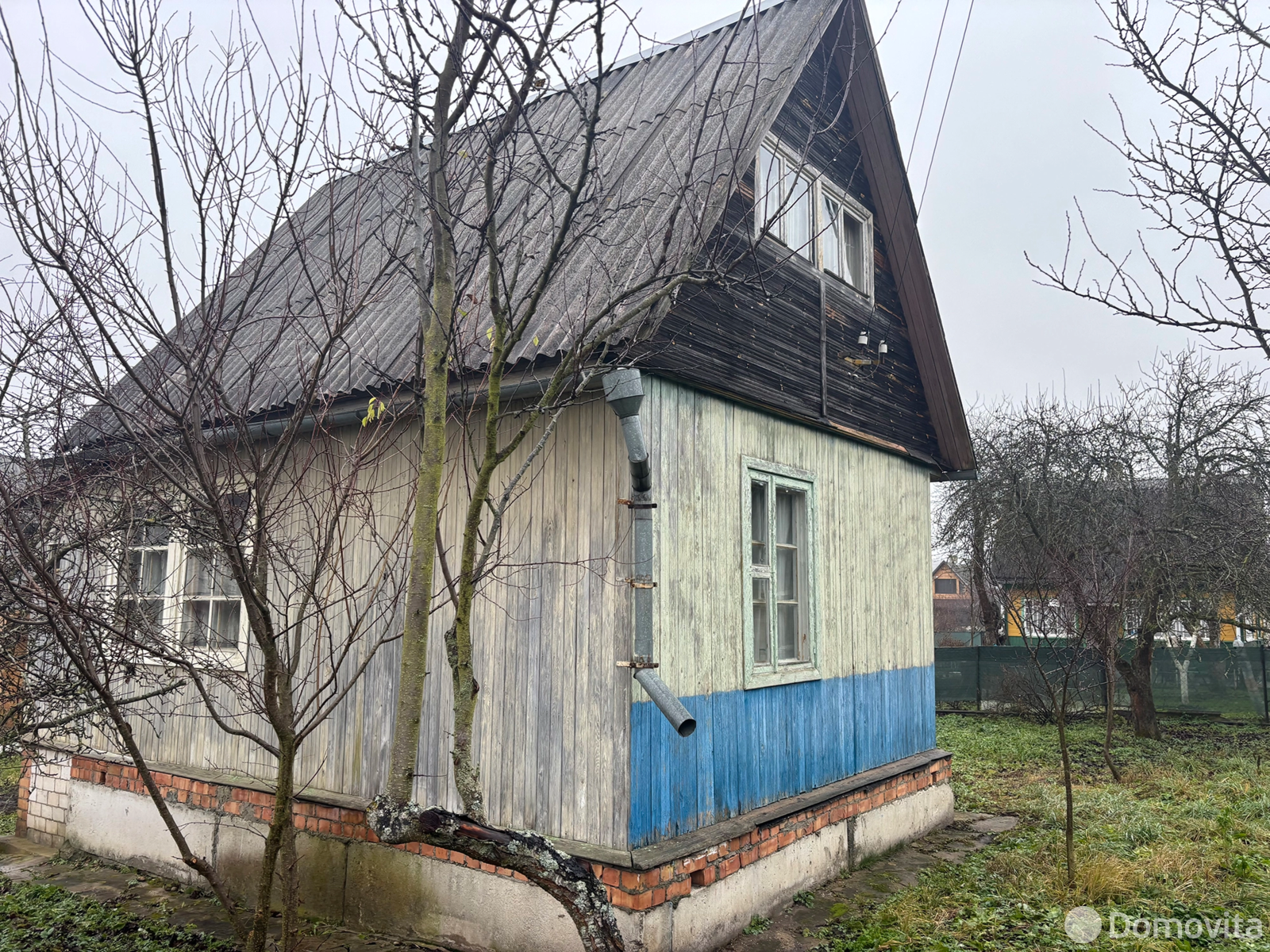 дача, Шарик, 