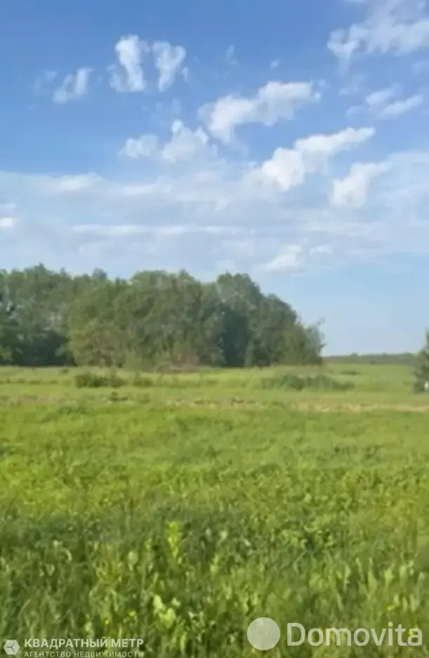 коттедж, Козлы,