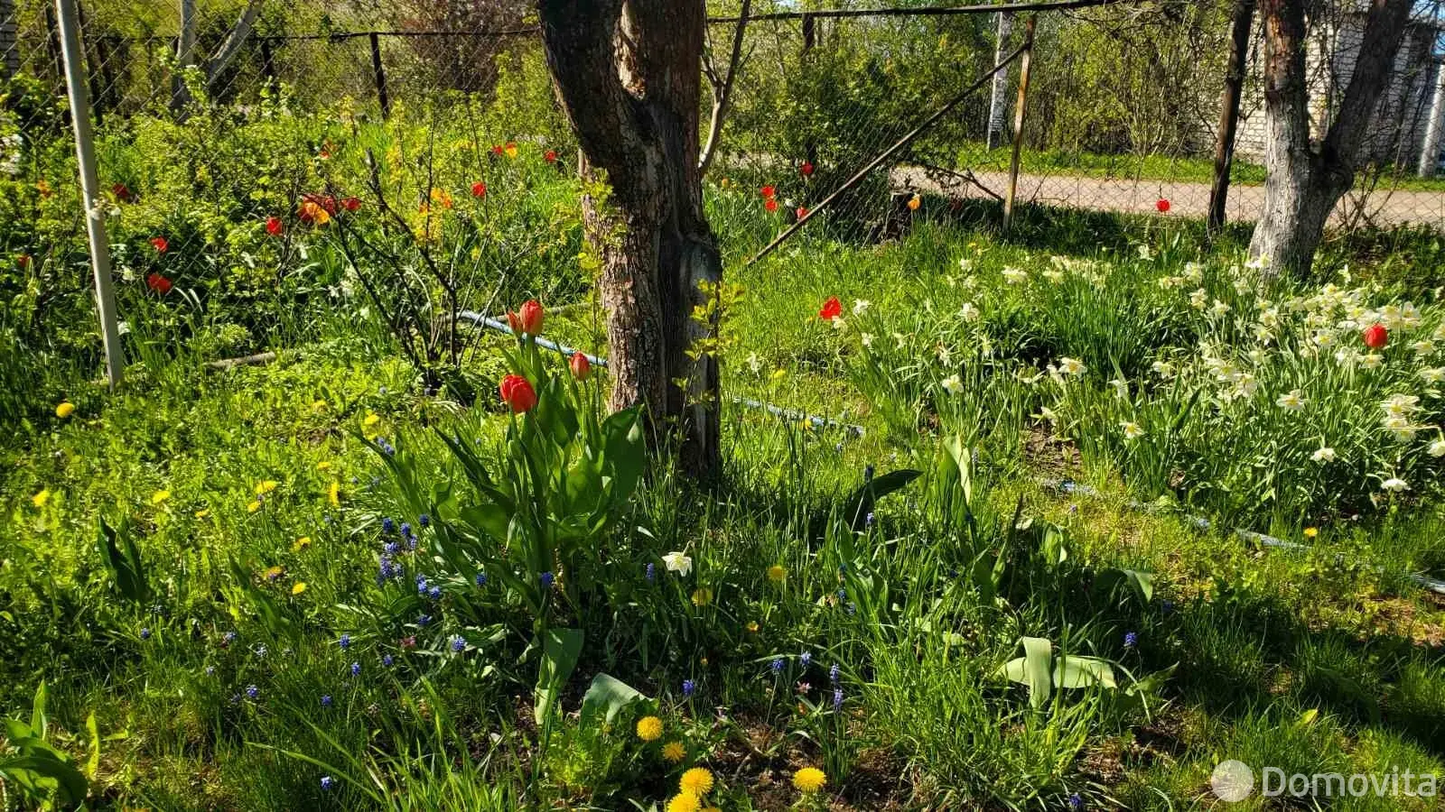 Продажа 2-этажной дачи в ВЯСЕЛКА-1 Минская область, 19500USD, код 182779 - фото 13