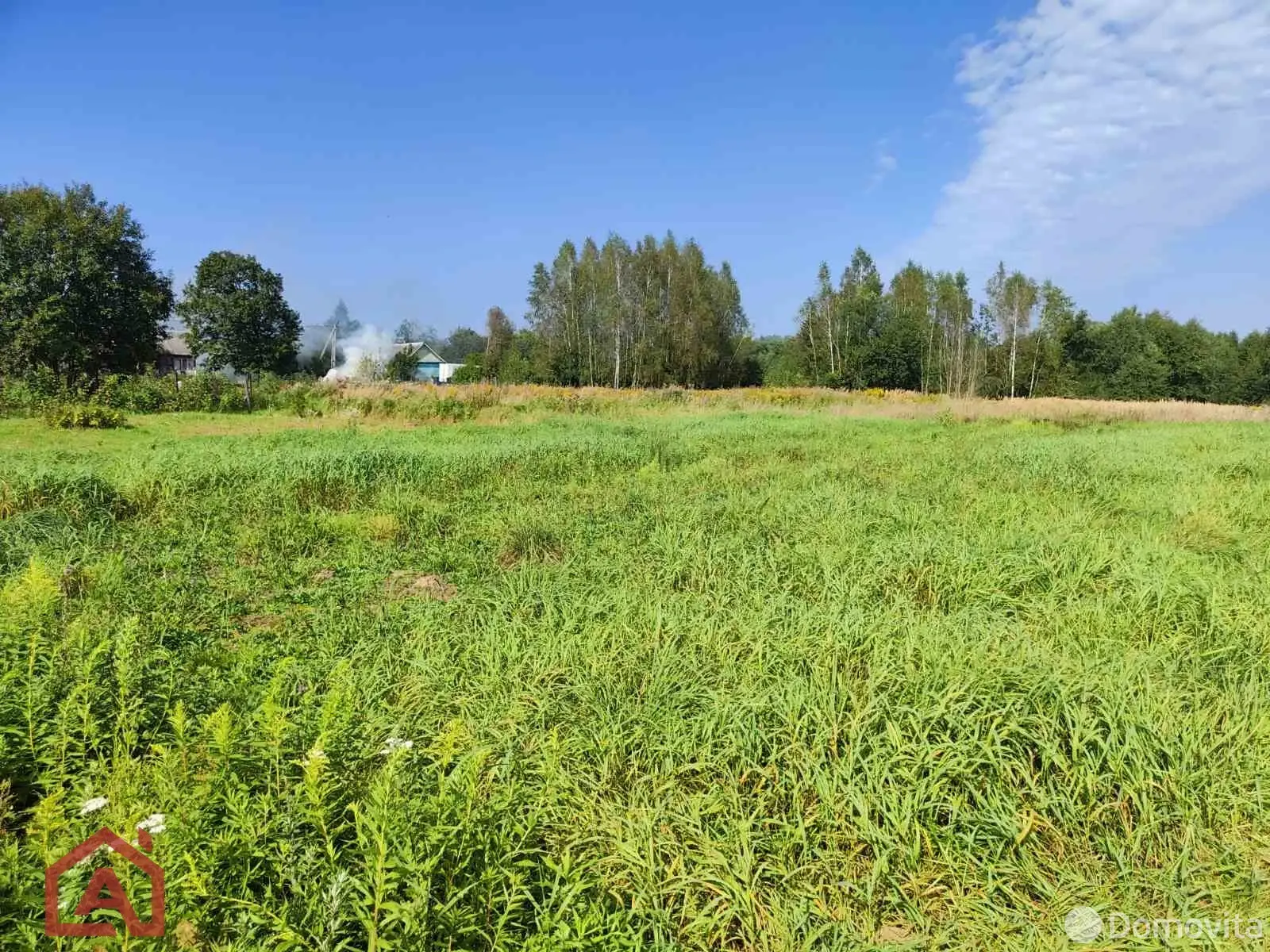 участок, Приселки, ул. Центральная, д. 9 