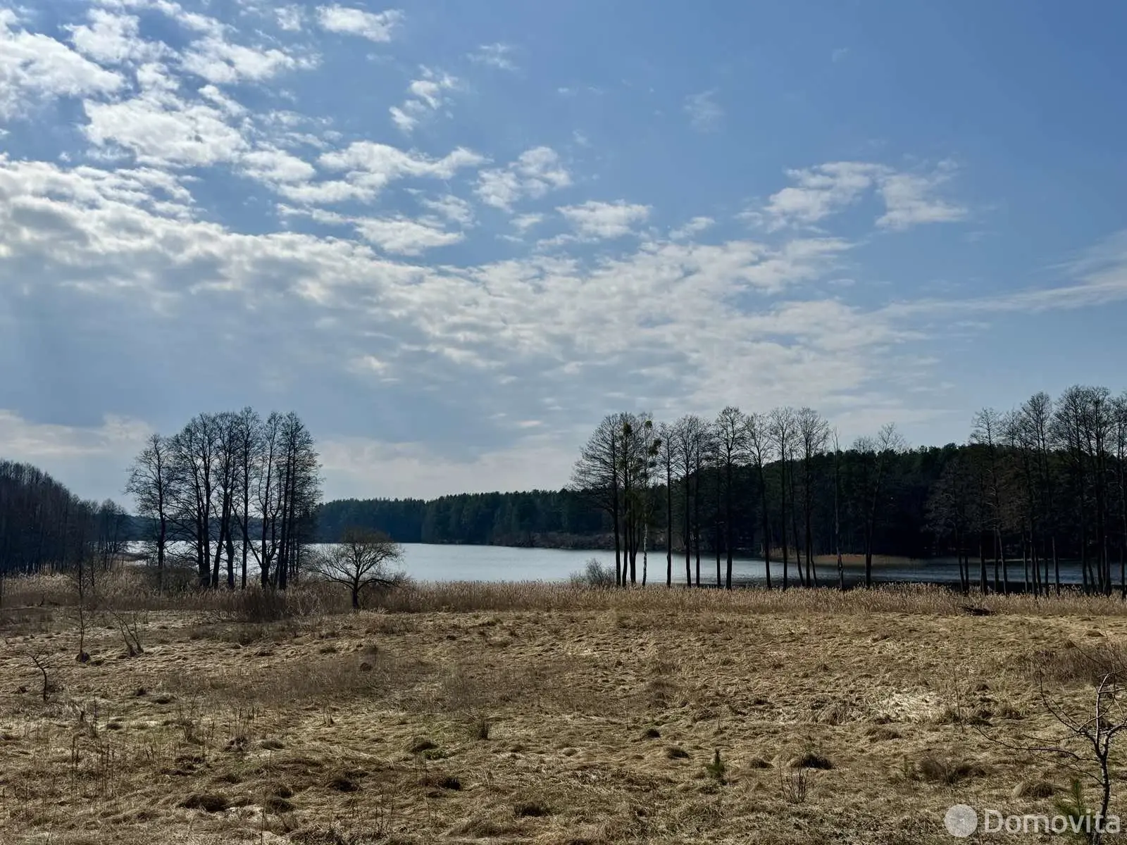 участок, Глушнево, , стоимость продажи 35 184 р.