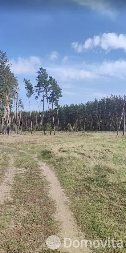 дом, Конколовичи, ул. Центральная