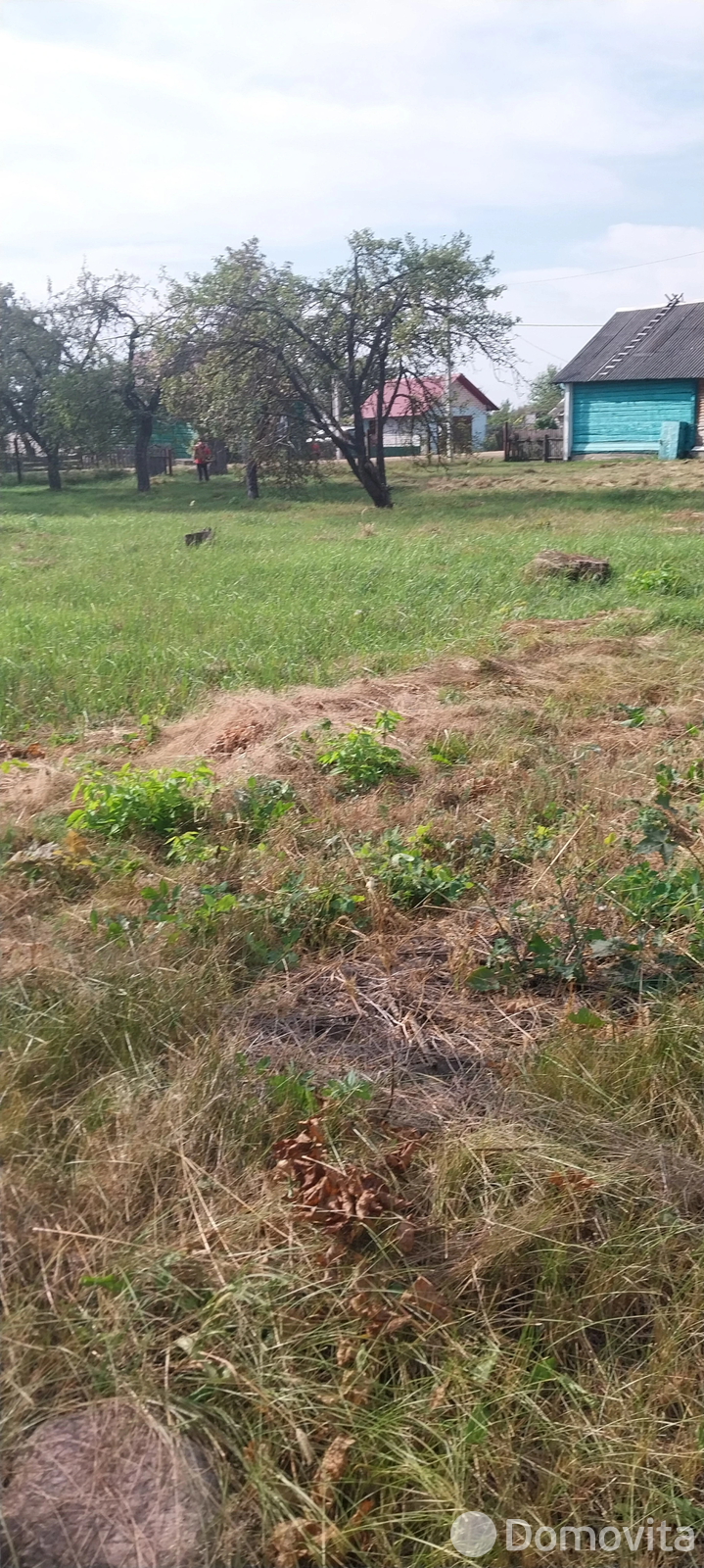 участок, Язовинь, ул. Советская 