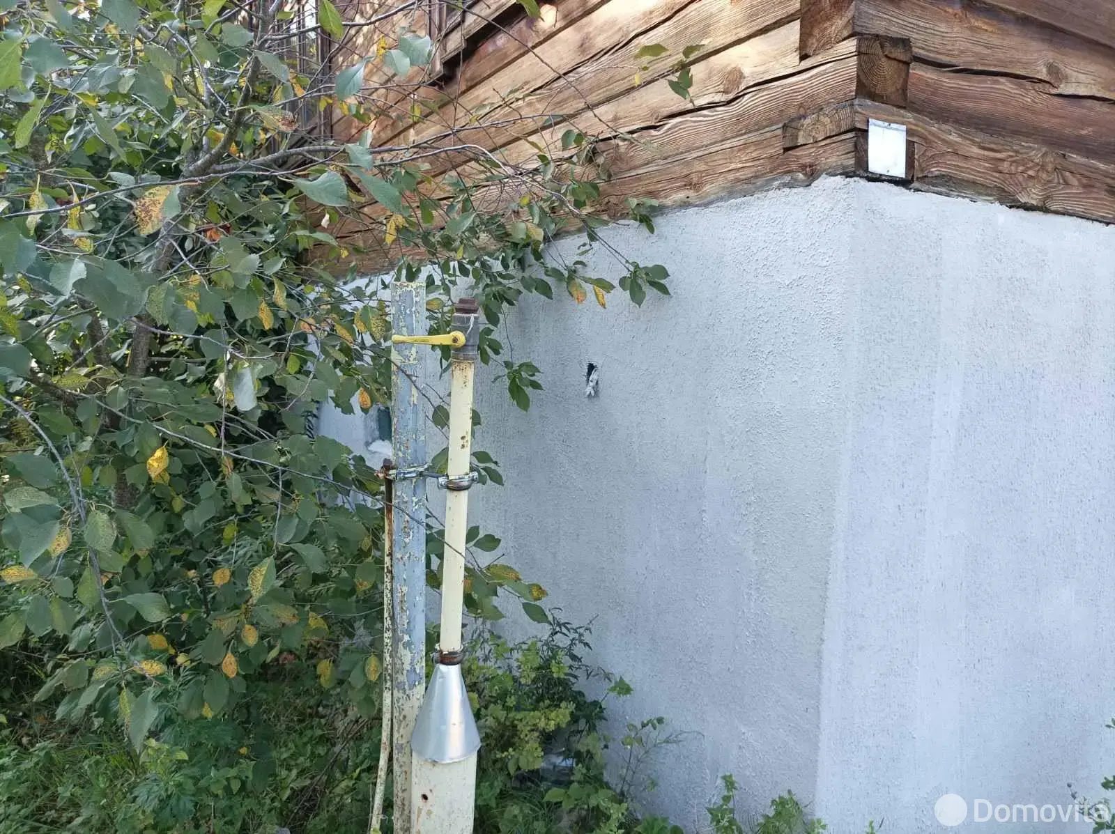 дача, Нептун, 