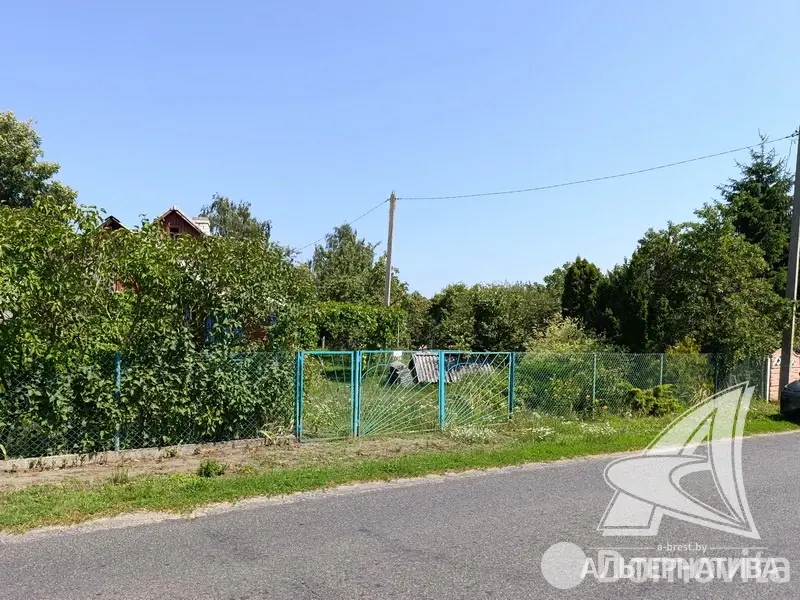 участок, Урожай ОАО Брестхлебопродукт, 