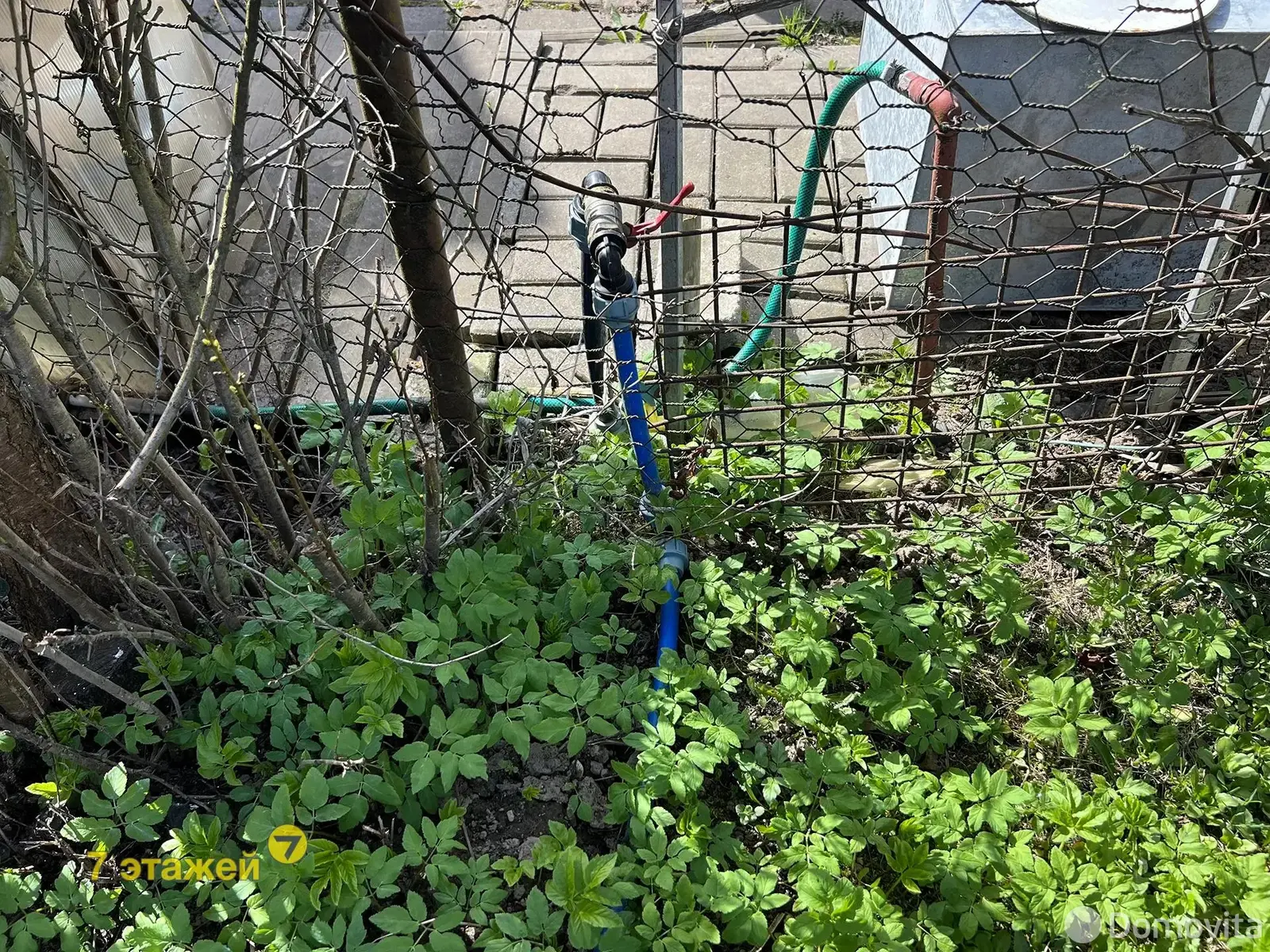 Продажа 1-этажной дачи в Камвольщик Минская область, 10900USD, код 182407 - фото 40