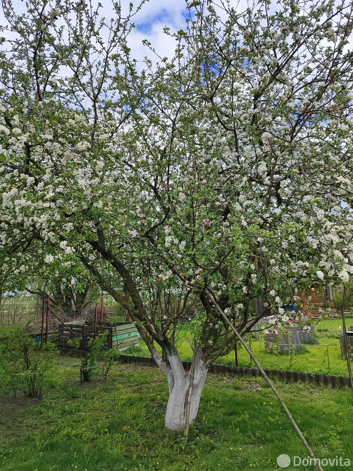 Купить 1-этажную дачу в Здоровье-95 Минская область, 12000USD, код 182592 - фото 13