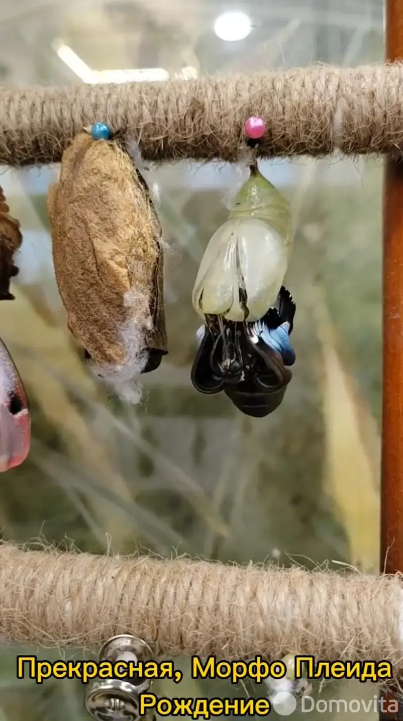 Купить помещение под сферу услуг в Минске, ул. Кирилла Туровского, д. 16 - фото 45