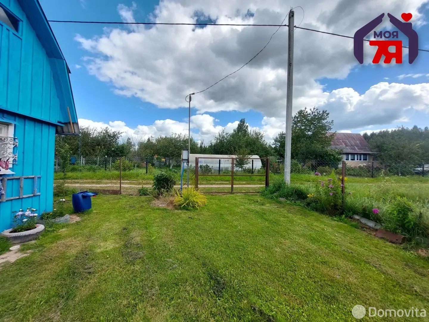 дача, Ромашка, 