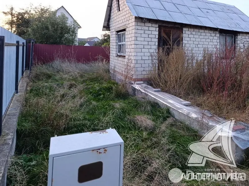 участок, Урожай ОАО Брестхлебопродукт, 