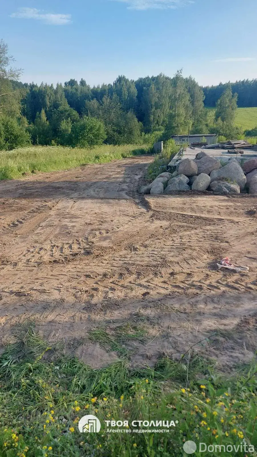 коттедж, Жуки, 