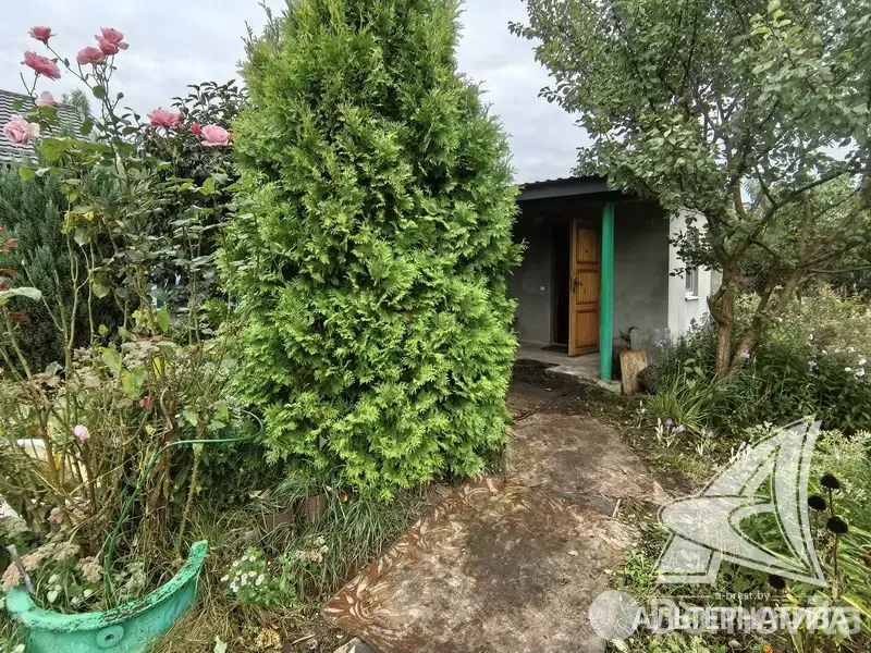 дача, Керамик-1, 