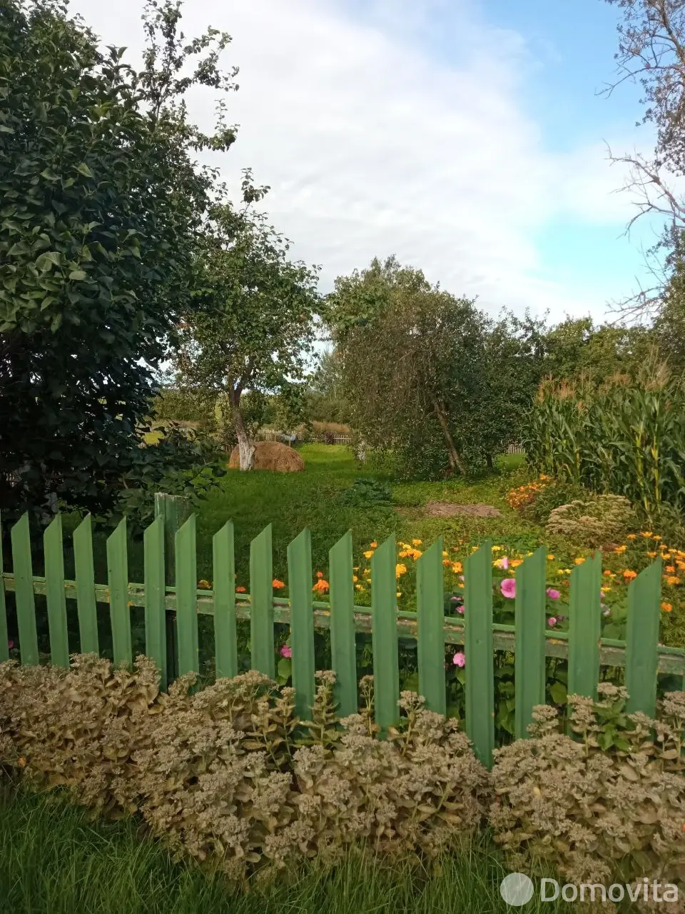 дом, Сураж, от собственника