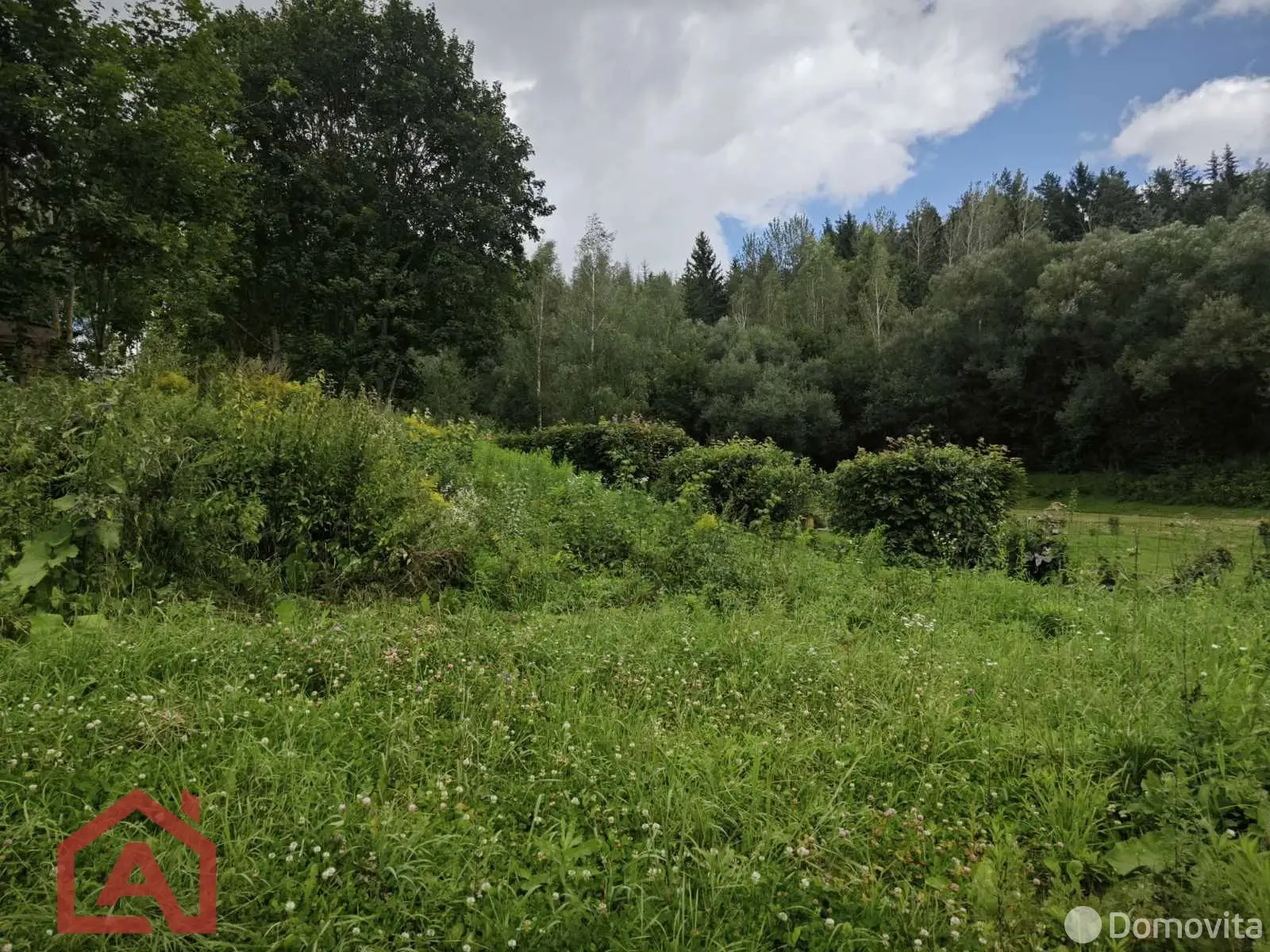 участок, Мончаки, ул. Центральная, д. 39 