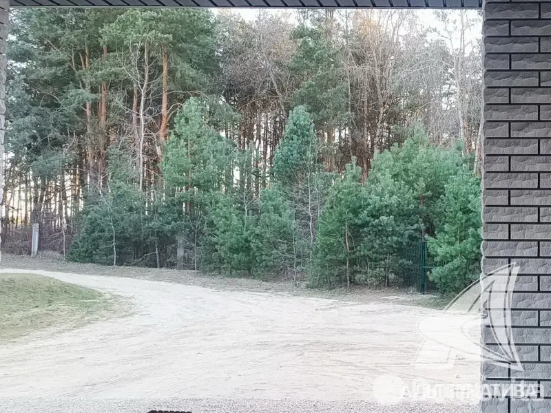 Купить 1-этажную дачу в Вымпел УВД Брестская область, 250000USD, код 177025 - фото 16