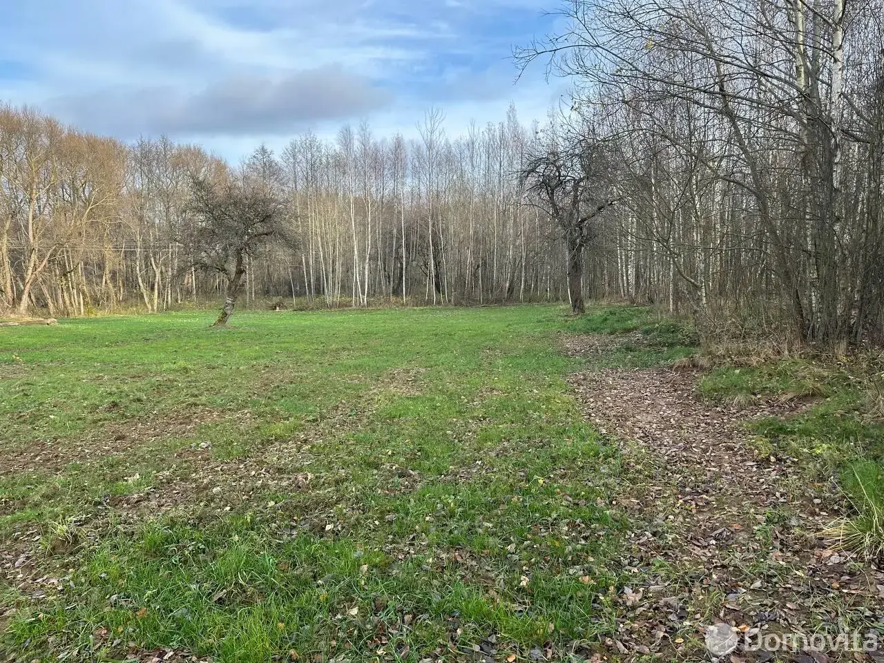 дом, Рудевщина, ул. Центральная, д. 13