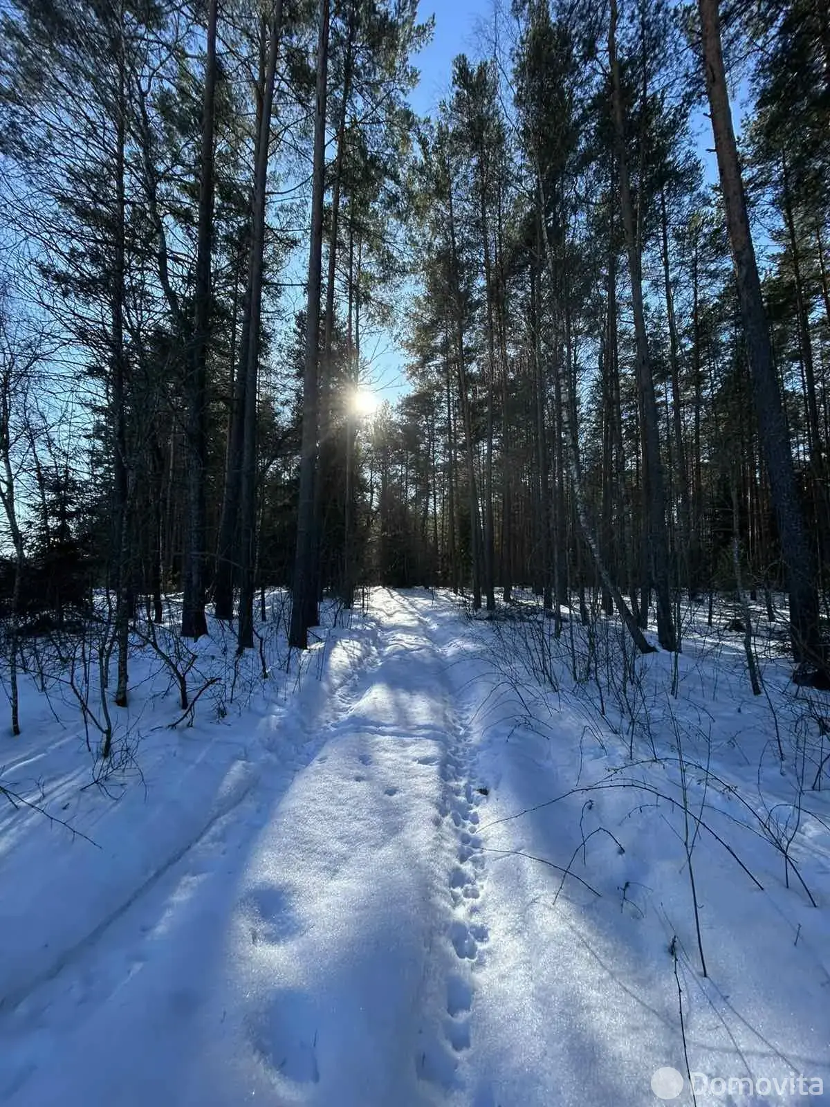 участок, Старинка, 