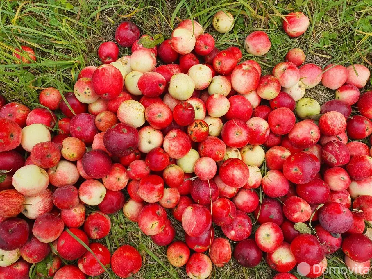 участок, Загорье-1, 