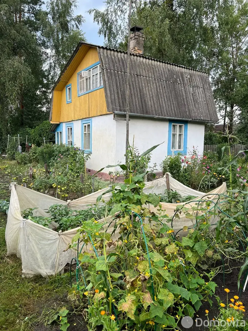 дача, Горняк-3,
