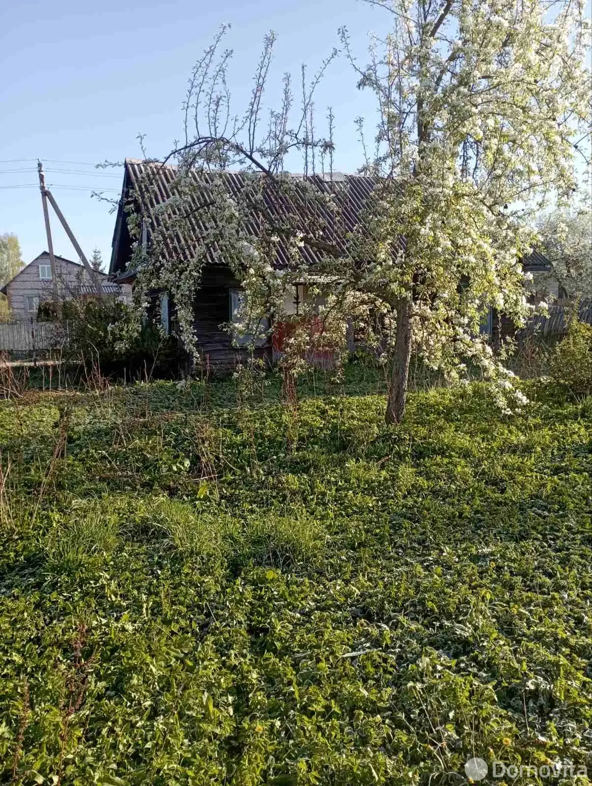 участок, Мачужичи, без посредников