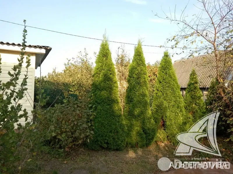 Продажа 2-этажной дачи в Строитель Брестская область, 24000USD, код 179850 - фото 26