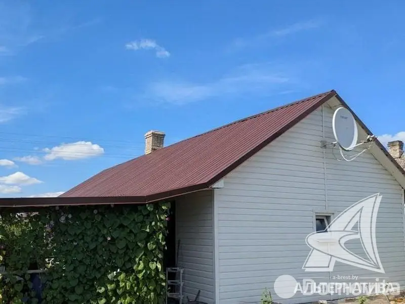 дом, Дружба, 