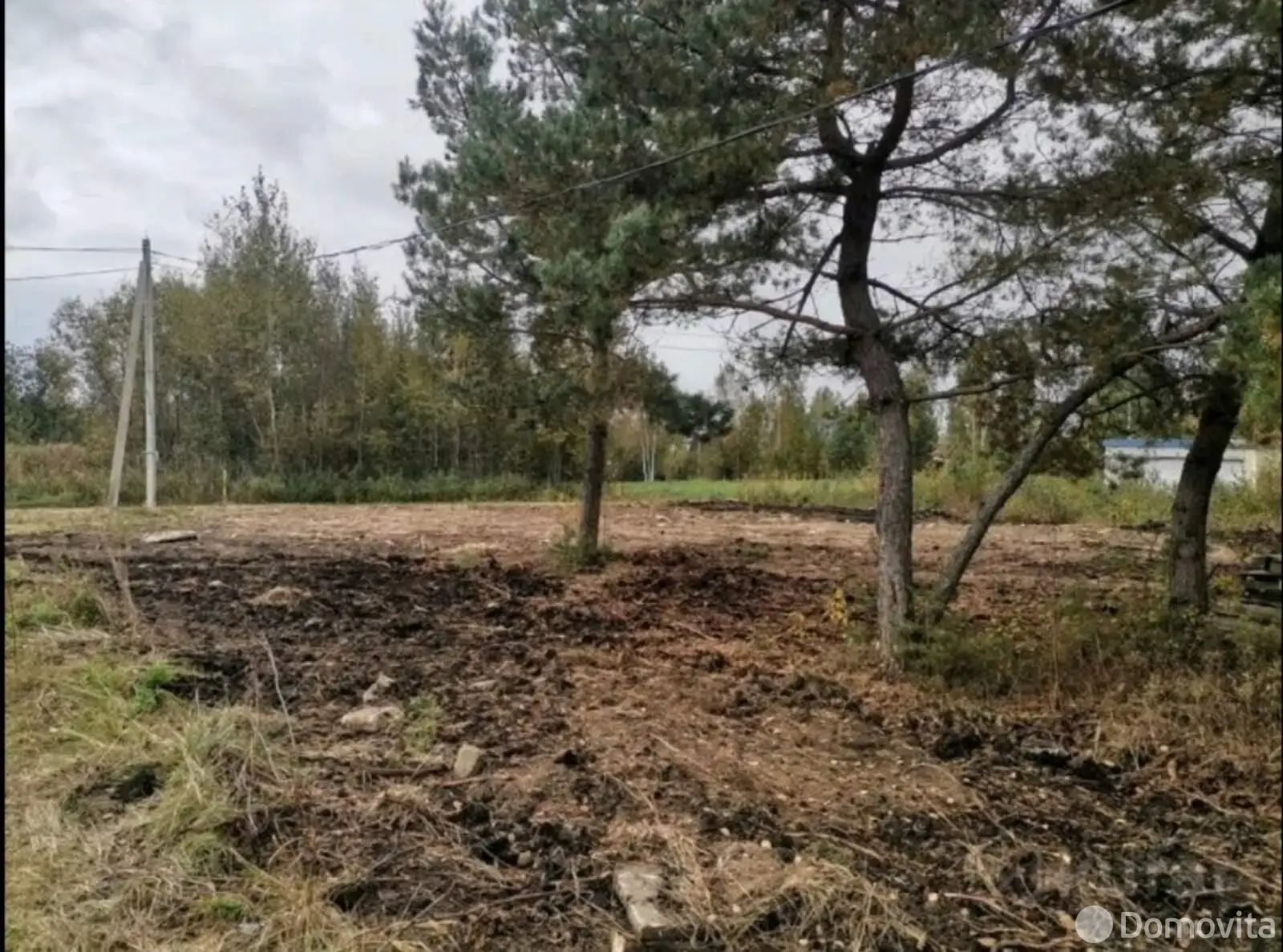 Стоимость продажи участка, Новые земли, 