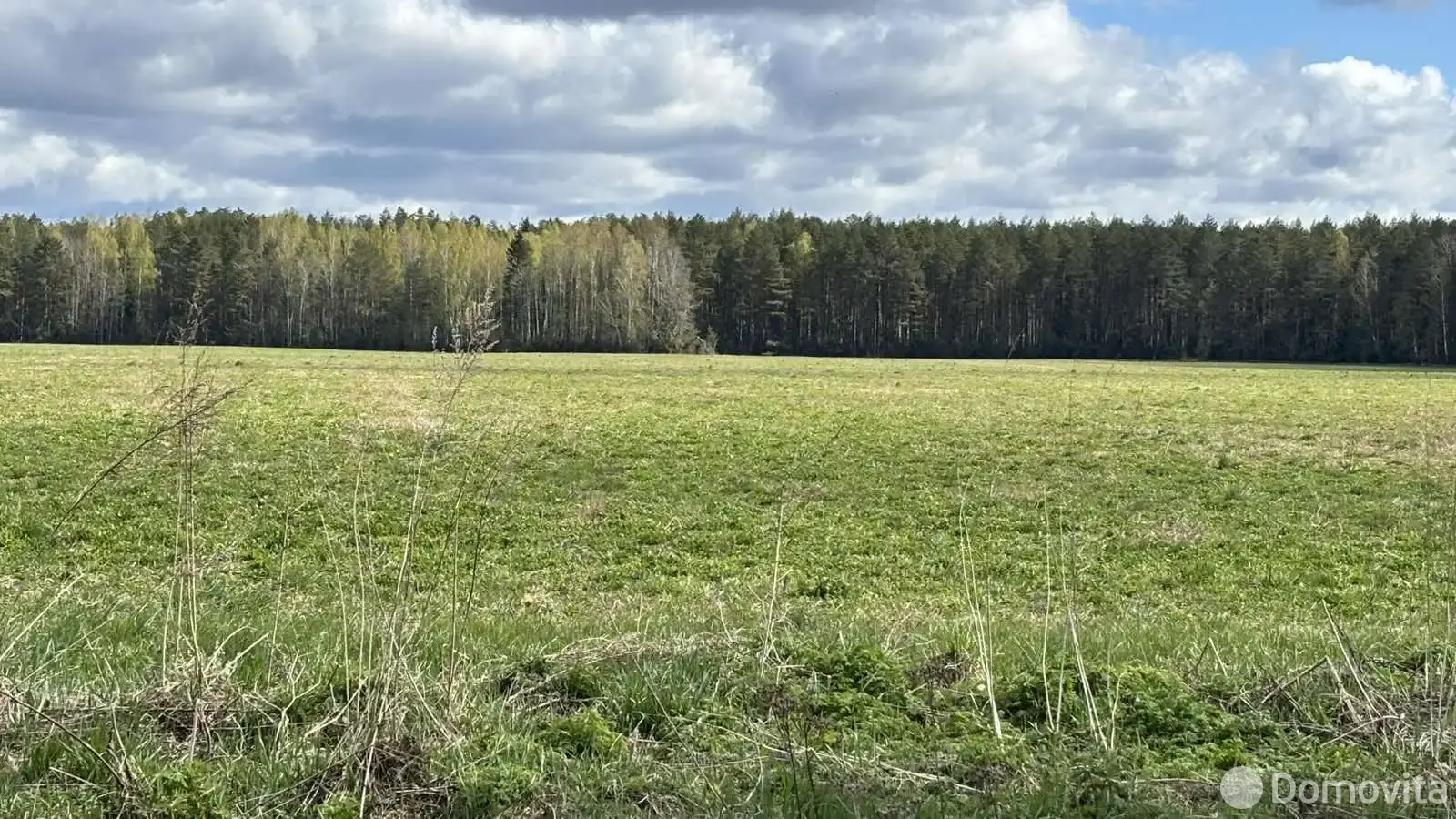 Купить 1-этажную дачу в Литвянке Минская область, 55200BYN, код 186004 - фото 14