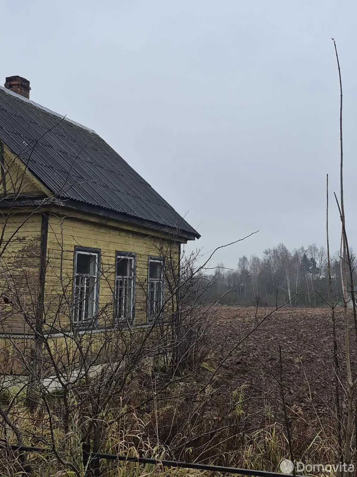 дом, Ольгово, ул. Центральная, д. 55 - лучшее предложение