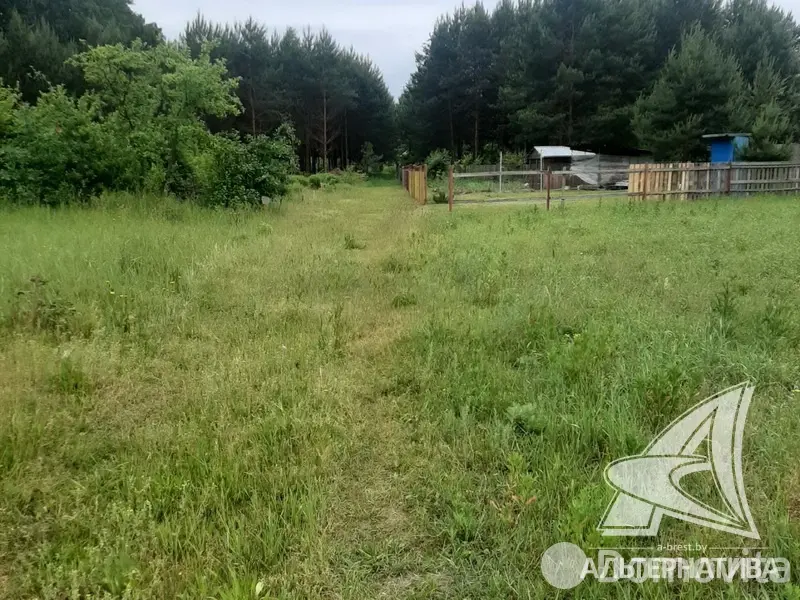 Стоимость продажи участка, Цветотрон, 