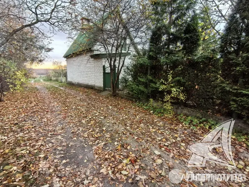 Продажа 1-этажной дачи в Машиностроитель Брестская область, 42000USD, код 184448 - фото 25