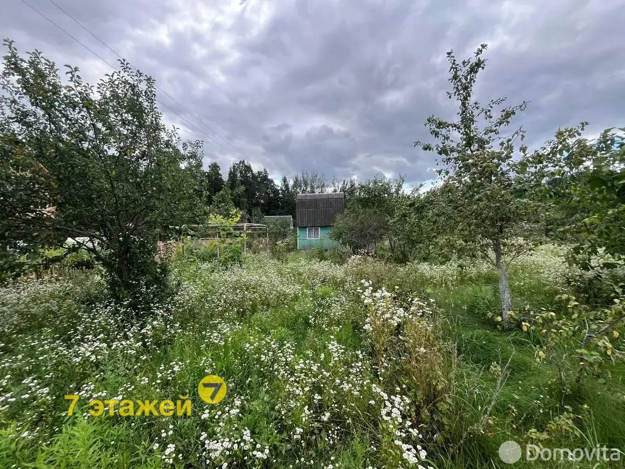 участок, Летний вечер, 