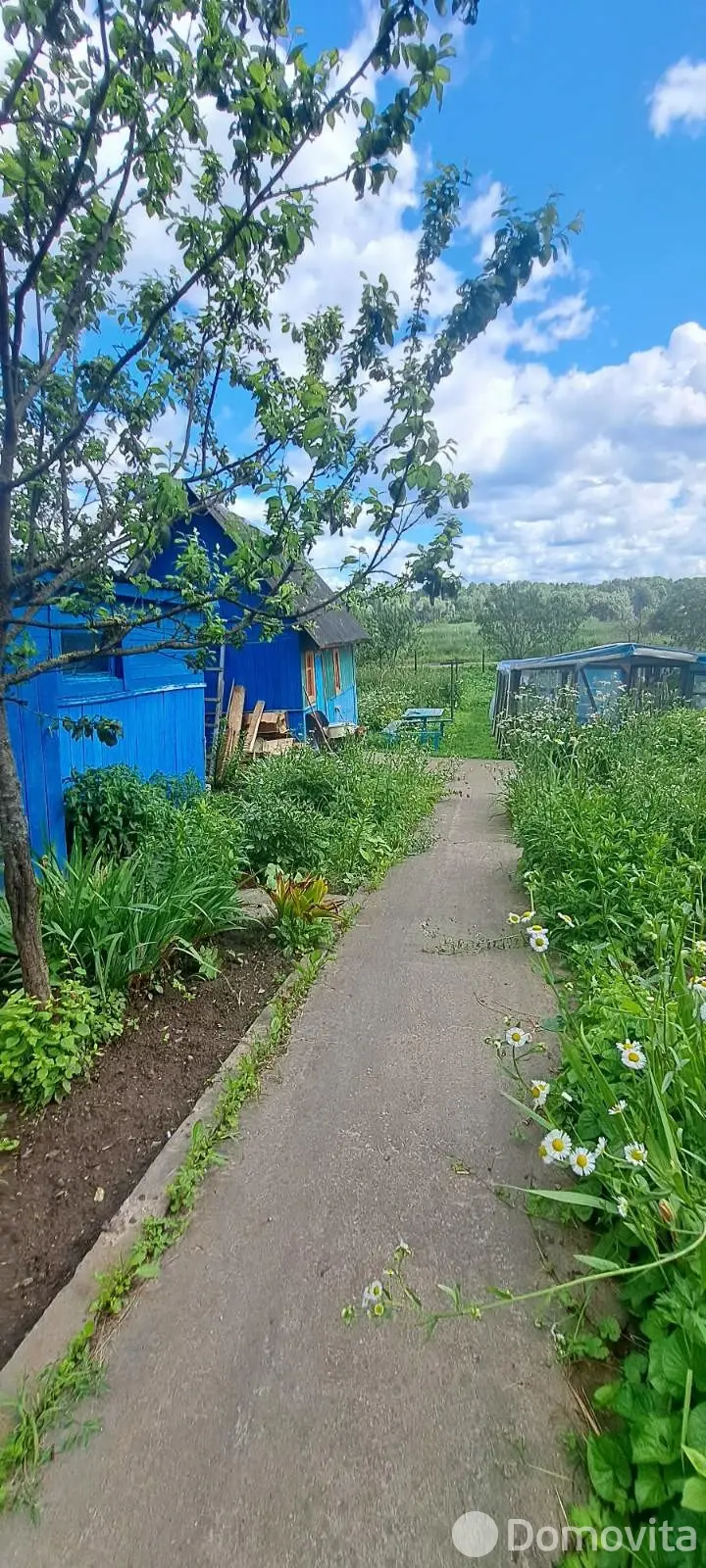 купить дом, Витебск, ул. Дачная