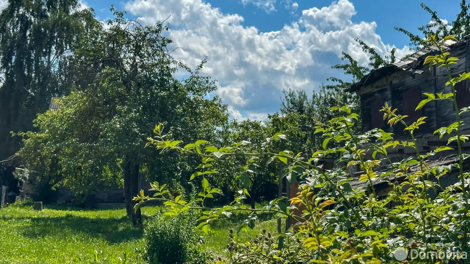 участок, Ждановичи, ул. Подлесная, д. 8